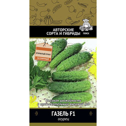 ������ ������ ������ ������ F1   ����