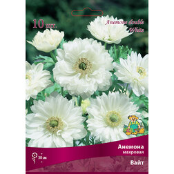 ������ ������ ������� �������� ���� (10 ��.)   ����