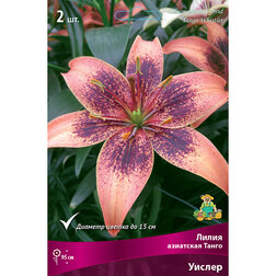 ������ ������ ����� ��������� ����� ������ (2 ��.)   ����