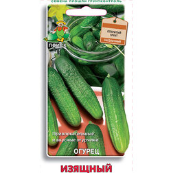 ������ ������ ������ �������   ����