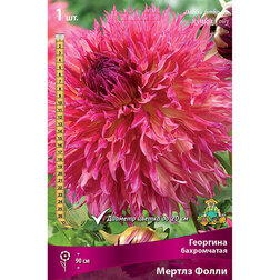 ������ ������ �������� ����������� ������ �����   ����