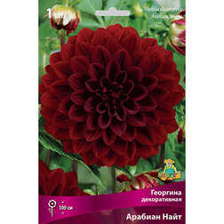 ������ ������ �������� ������������ ������� ���� (1 ��.)   ����