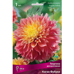 ������ ������ �������� ������������ ����� ������   ����