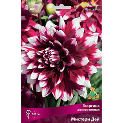 ������ ������ �������� ������������ ������� ���   ����