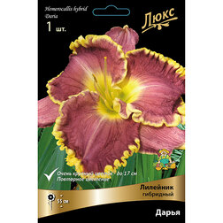 ������ ������ �������� ��������� �����   ����