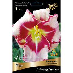 ������ ������ �������� ��������� ���� ��� �������   ����