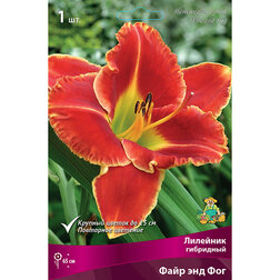 ������ ������ �������� ��������� ���� ��� ���   ����