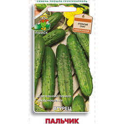 ������ ������ ������ �������   ����