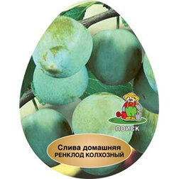 ������ ������ ����� ������� ���������   ����