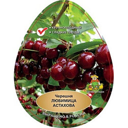 ������ ������ ������� �������� ��������   ����