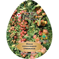 ������ ������ ������ ������������� ��������� (������ �-9, ����������)   ����