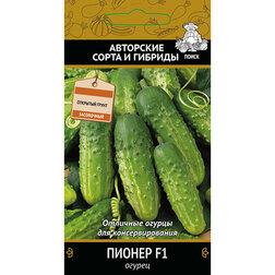 ������ ������ ������ ������ F1   ����