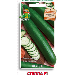 ������ ������ ������ ������ F1   ����