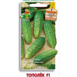 ������ ������ ������ ������ F1   ����