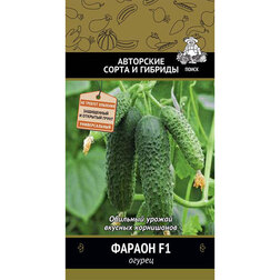 ������ ������ ������ ������ F1   ����