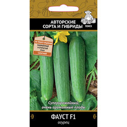 ������ ������ ������ ����� F1   ����