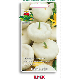 ������ ������ �������� ����   ����