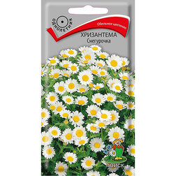 ������ ������ ���������� ����������   ����