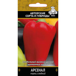 ������ ������ ����� ������� �������   ����