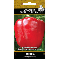 ������ ������ ����� ������� ������   ����