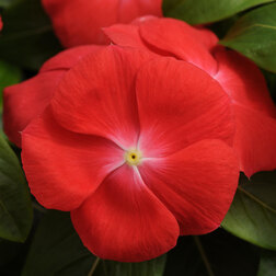 ������ ������ ���������� �������� ����� (1��-100��)���������������� ������   ����