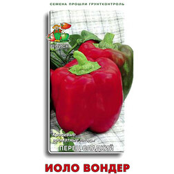 ������ ������ ����� ������� ���� ������   ����