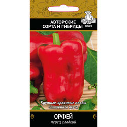 ������ ������ ����� ������� �����   ����