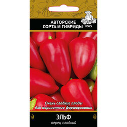 ������ ������ ����� ������� ����   ����