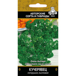 ������ ������ �������� ���������   ����