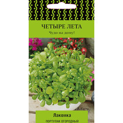 ������ ������ �������� ��������� �������   ����