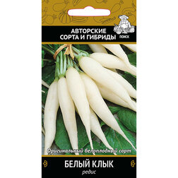 ������ ������ ����� ����� ����   ����