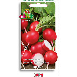 ������ ������ ����� ����   ����