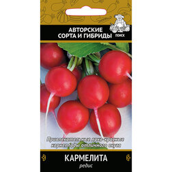 ������ ������ ����� ���������   ����