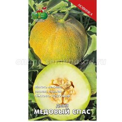 ������ ������ ���� ������� ����   ����