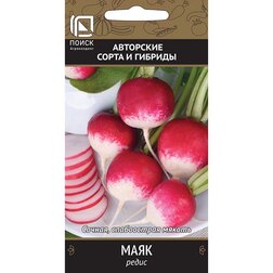 ������ ������ ����� ����   ����