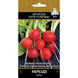 ������ ������ ����� �������   ����