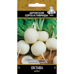 ������ ������ ����� ������   ����