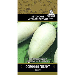 ������ ������ ����� ������� ������   ����