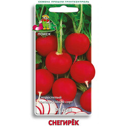 ������ ������ ����� �������   ����