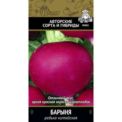 ������ ������ ������ ��������� (����) ������   ����