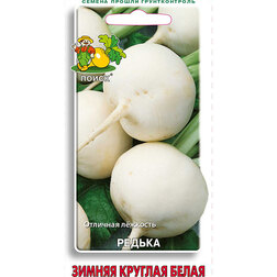 ������ ������ ������ ������ ������� �����   ����