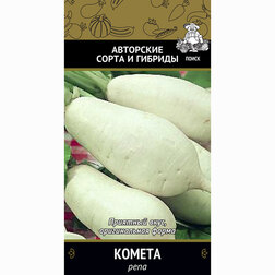 ������ ������ ���� ������   ����