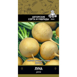 ������ ������ ���� ����   ����