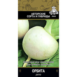 ������ ������ ���� ������   ����