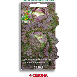 ������ ������ ����� 4 ������   ����