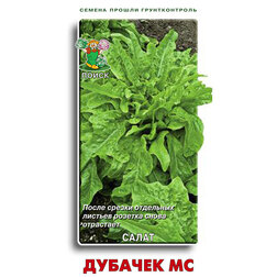 ������ ������ ����� ������� ��   ����