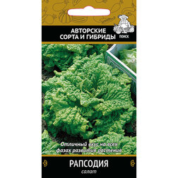 ������ ������ ����� ��������   ����