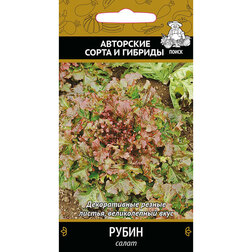 ������ ������ ����� �����   ����