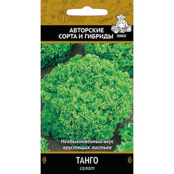 ������ ������ ����� �����   ����