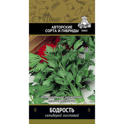 ������ ������ ��������� �������� ��������   ����